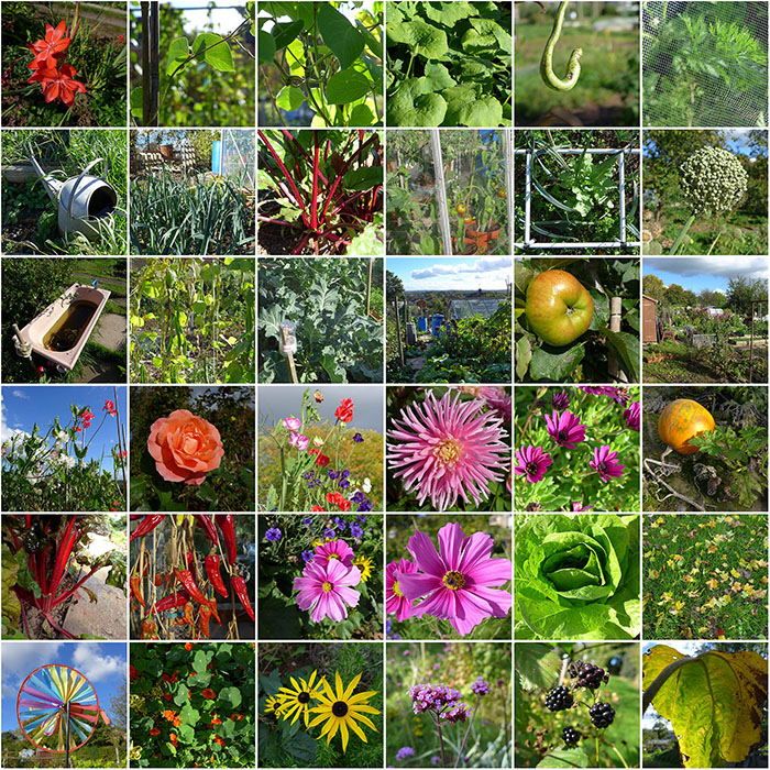 allotmentsq1