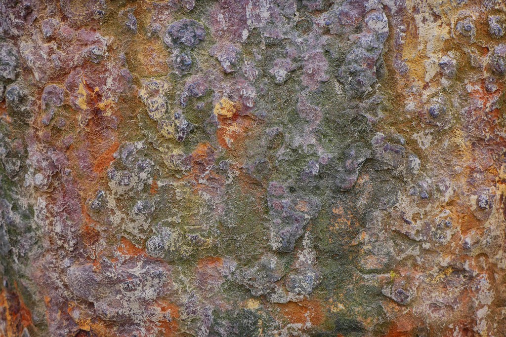 P1030857